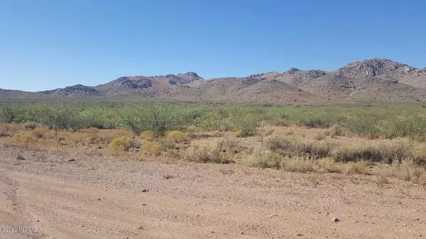 Willcox, AZ 85643,563.4 Acre W Marguerite Road