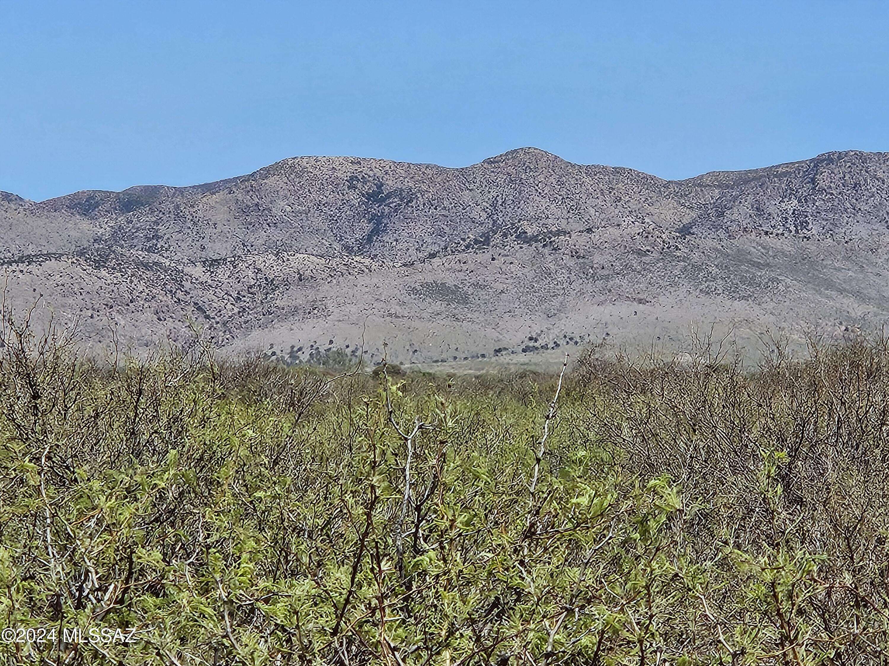 40 Acres E Carolyn Fraser Lane #-, Pearce, AZ 85625