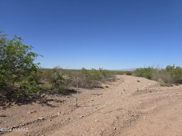 Bisbee, AZ 85603,4.12 Acres N Oro Road