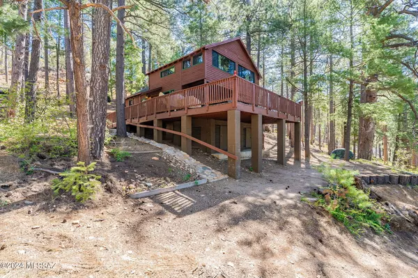 12036 N Lower Soldiers Camp Road, Mt. Lemmon, AZ 85619