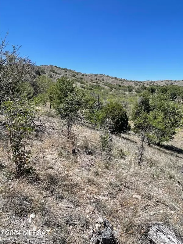 Sonoita, AZ 85637,4 Hog Canyon  #b