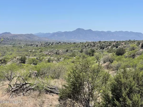 Sonoita, AZ 85637,4 Hog Canyon  #b