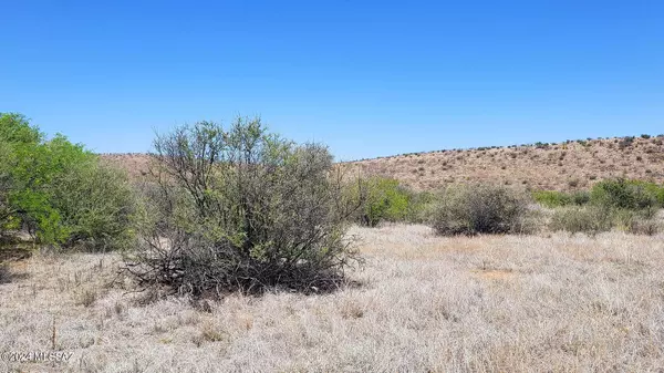 Pearce, AZ 85625,5 Acres Rock Road #138