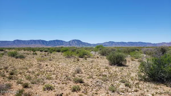 Pearce, AZ 85625,5 Acres Rock Road #138