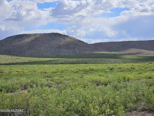 40 Acres S Parsons Dr  #172, Pearce, AZ 85625