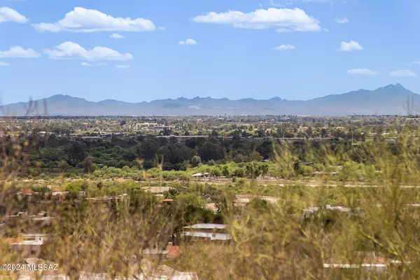 3774 N Rio Verde Vista Drive #64, Tucson, AZ 85750