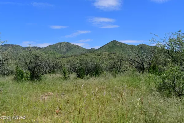 Tubac, AZ 85646,TBD Mesquite Trail #131