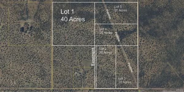 Willcox, AZ 85643,40 Acres S Martin Ranch Lot 1 Road #1