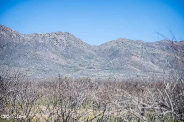 Willcox, AZ 85643,20 Acres S Martin Ranch Lot 5 Road #5