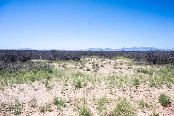 Willcox, AZ 85643,20 Acres S Martin Ranch Lot 5 Road #5