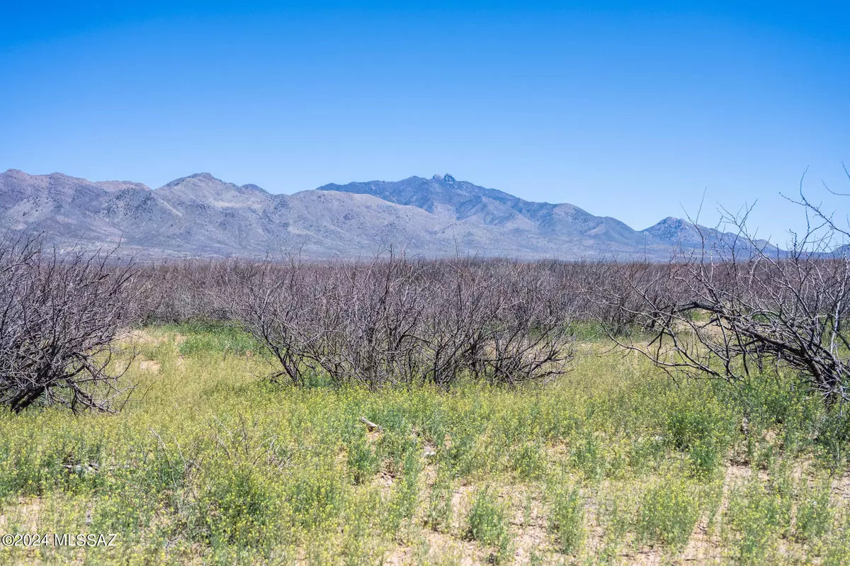 Willcox, AZ 85643,20 Acres S Martin Ranch Lot 5 Road #5