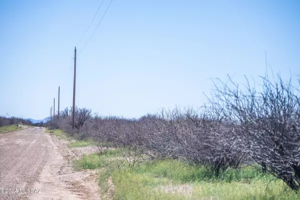 Willcox, AZ 85643,20 Acres S Martin Ranch Lot 5 Road #5