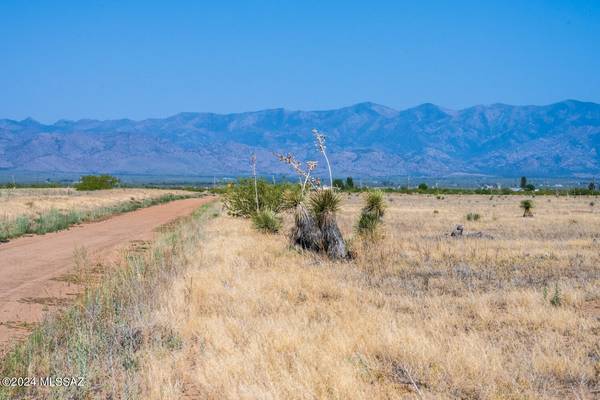 46 Acres S Ash Creek Road #-, Pearce, AZ 85625