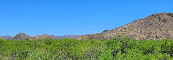 Elfrida, AZ 85610,2.5 AC off Rucker Canyon Rd  #415