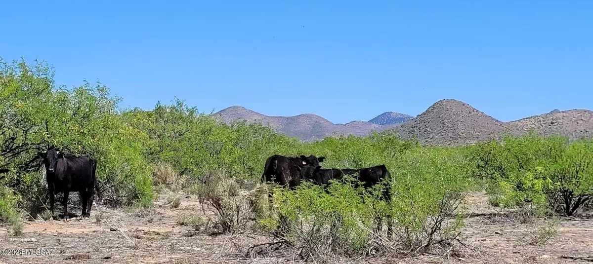 Elfrida, AZ 85610,2.5 AC off Rucker Canyon Rd  #415