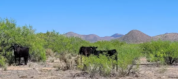 2.5 AC off Rucker Canyon Rd  #415, Elfrida, AZ 85610