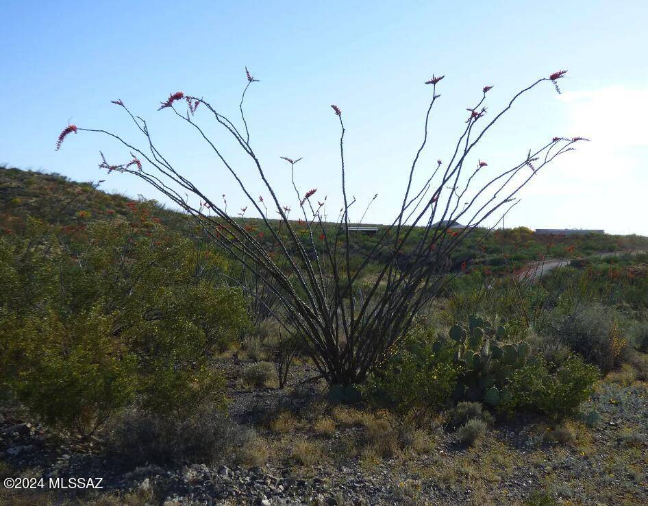 Vail, AZ 85641,9905 E Ocotillo Rim Trail #10C