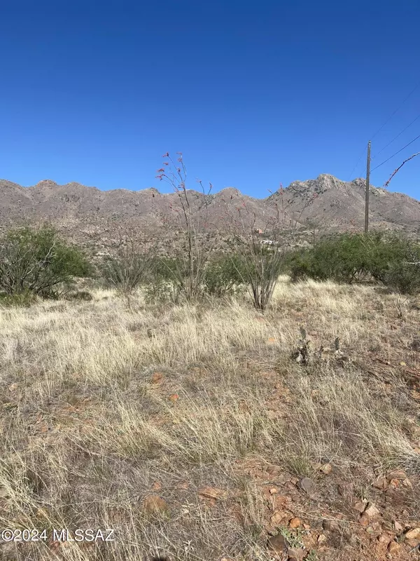 1678 Avenida Calamar  #112, Rio Rico, AZ 85648