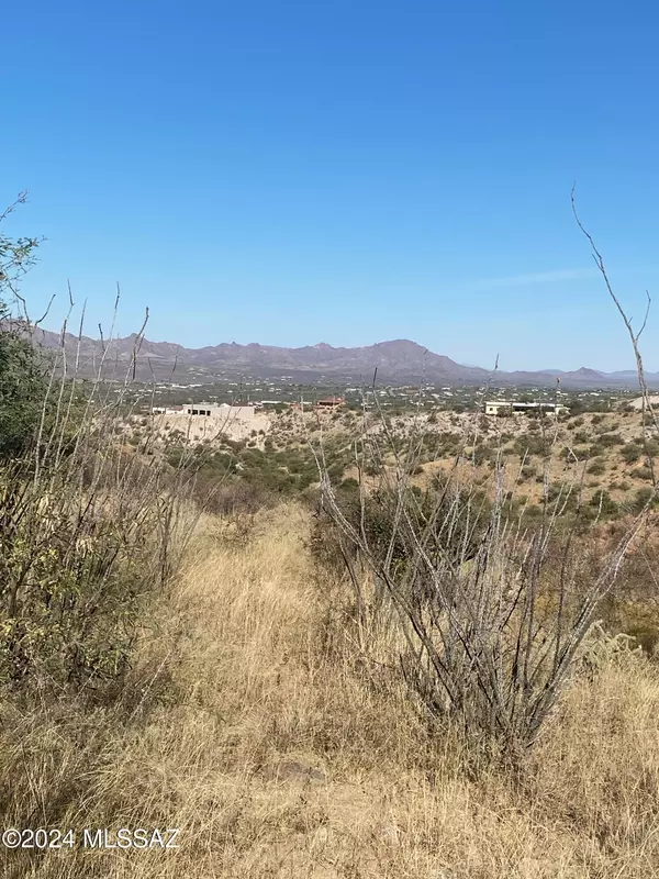 Rio Rico, AZ 85648,1678 Avenida Calamar  #112