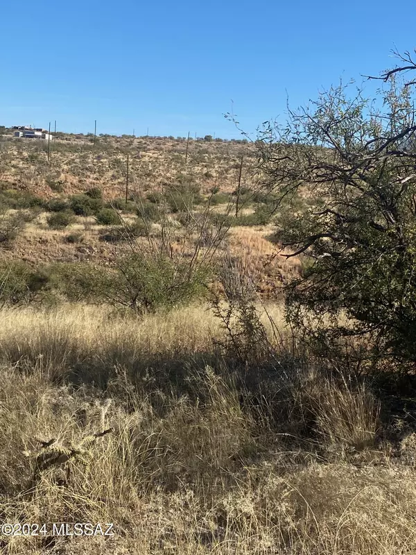 Rio Rico, AZ 85648,1678 Avenida Calamar  #112