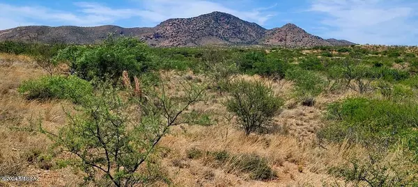 Elfrida, AZ 85610,Lot 116 Stetson Drive #-