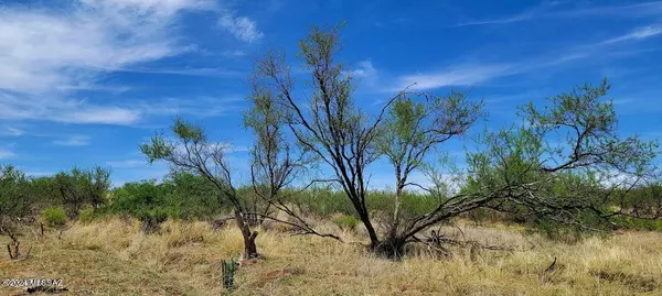 Elfrida, AZ 85610,Lot 116 Stetson Drive #-