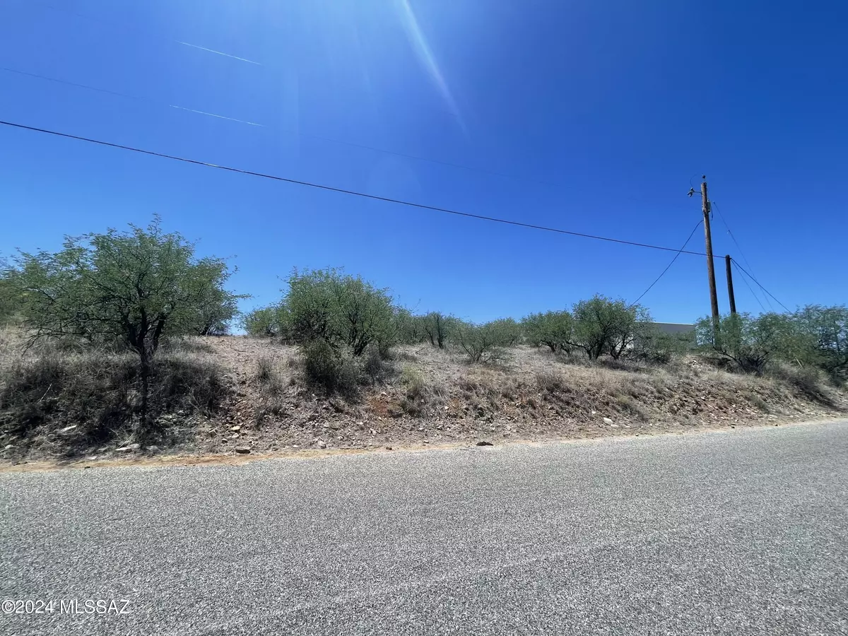 Rio Rico, AZ 85648,179 Avenida Ostion