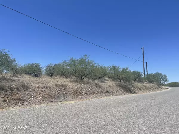 Rio Rico, AZ 85648,179 Avenida Ostion