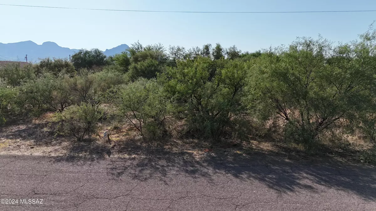 Rio Rico, AZ 85648,67 Circulo Cortez  #4