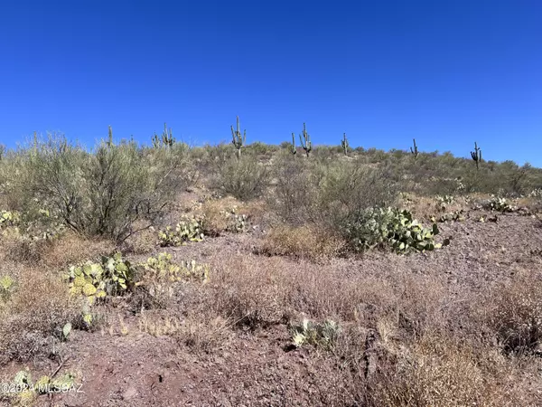 Tucson, AZ 85739,48450 E Three Buttes Road