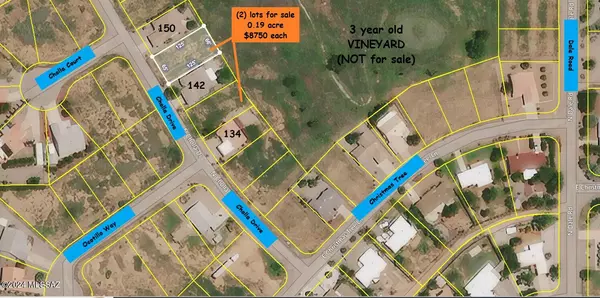 Pearce, AZ 85625,2 Lots (0.38 AC) on Cholla Drive  #-