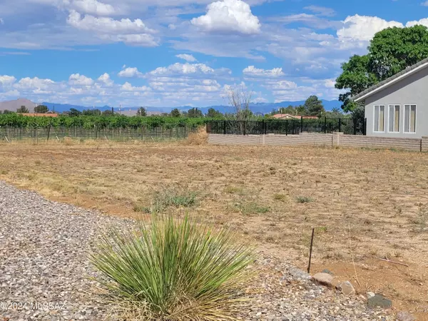 Pearce, AZ 85625,2 Lots (0.38 AC) on Cholla Drive  #-