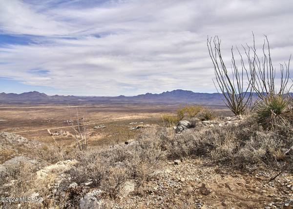 TBD W Bo Ma Trail #181, Portal, AZ 85632