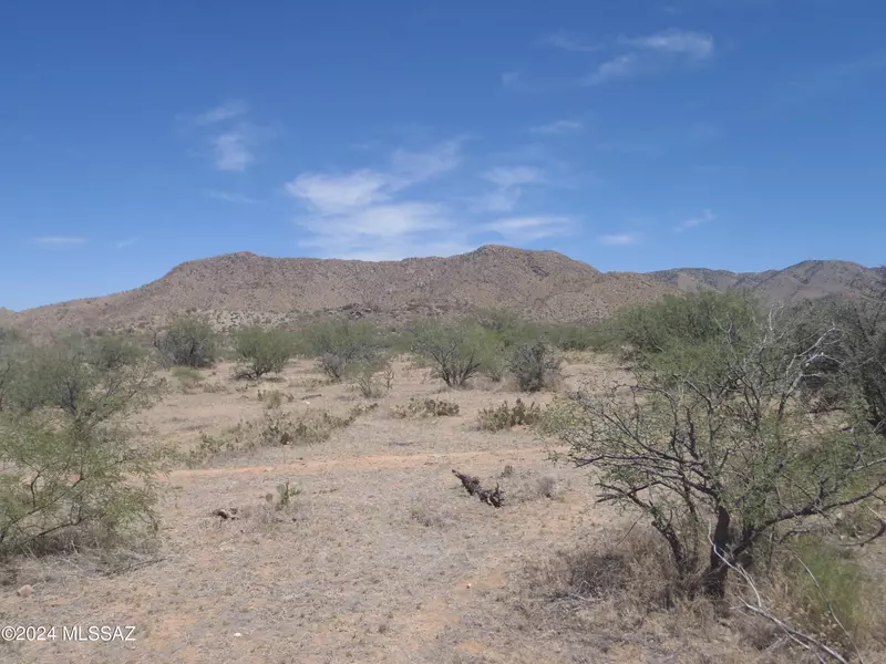 16800 S O & J Ranch W Road, Tucson, AZ 85736