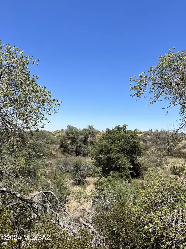 Oracle, AZ 85623,2.5 acre W Oak Hills Drive