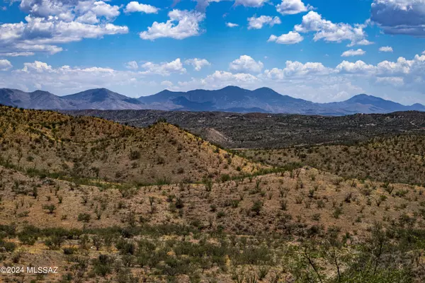 Rio Rico, AZ 85648,1257 Avenida Gloriosa