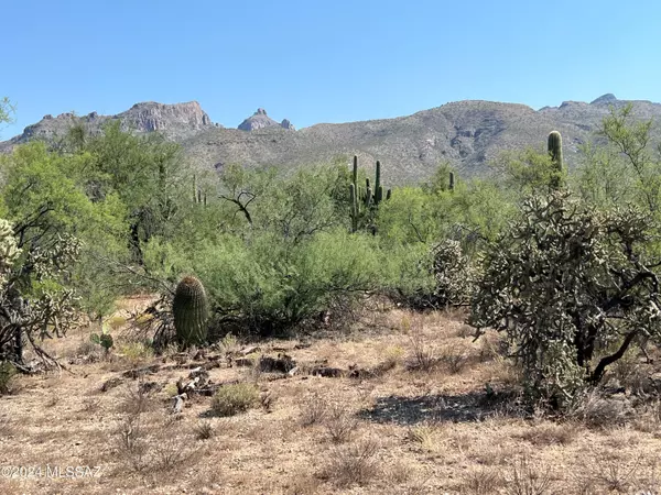 4800 N Vista De Loma Segunda  #6, Tucson, AZ 85749