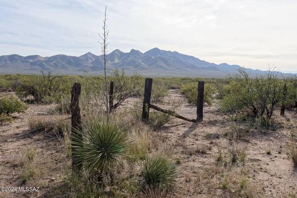 TBD W Agua Blanca Road #1, Elfrida, AZ 85610