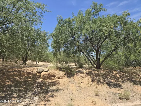 TBD W Foothill  #20, Benson, AZ 85602