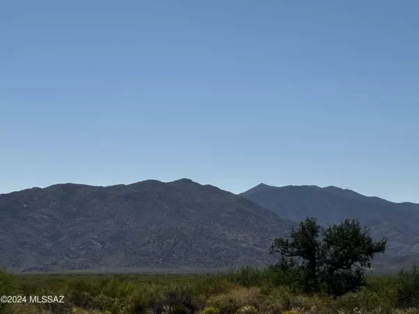 Willcox, AZ 85643,10 acres Buckeye Canyon Road