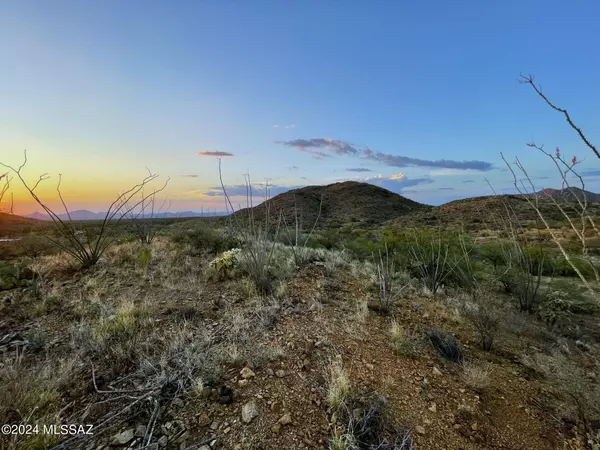 Tucson, AZ 85736,17430 S Sunbird Lane