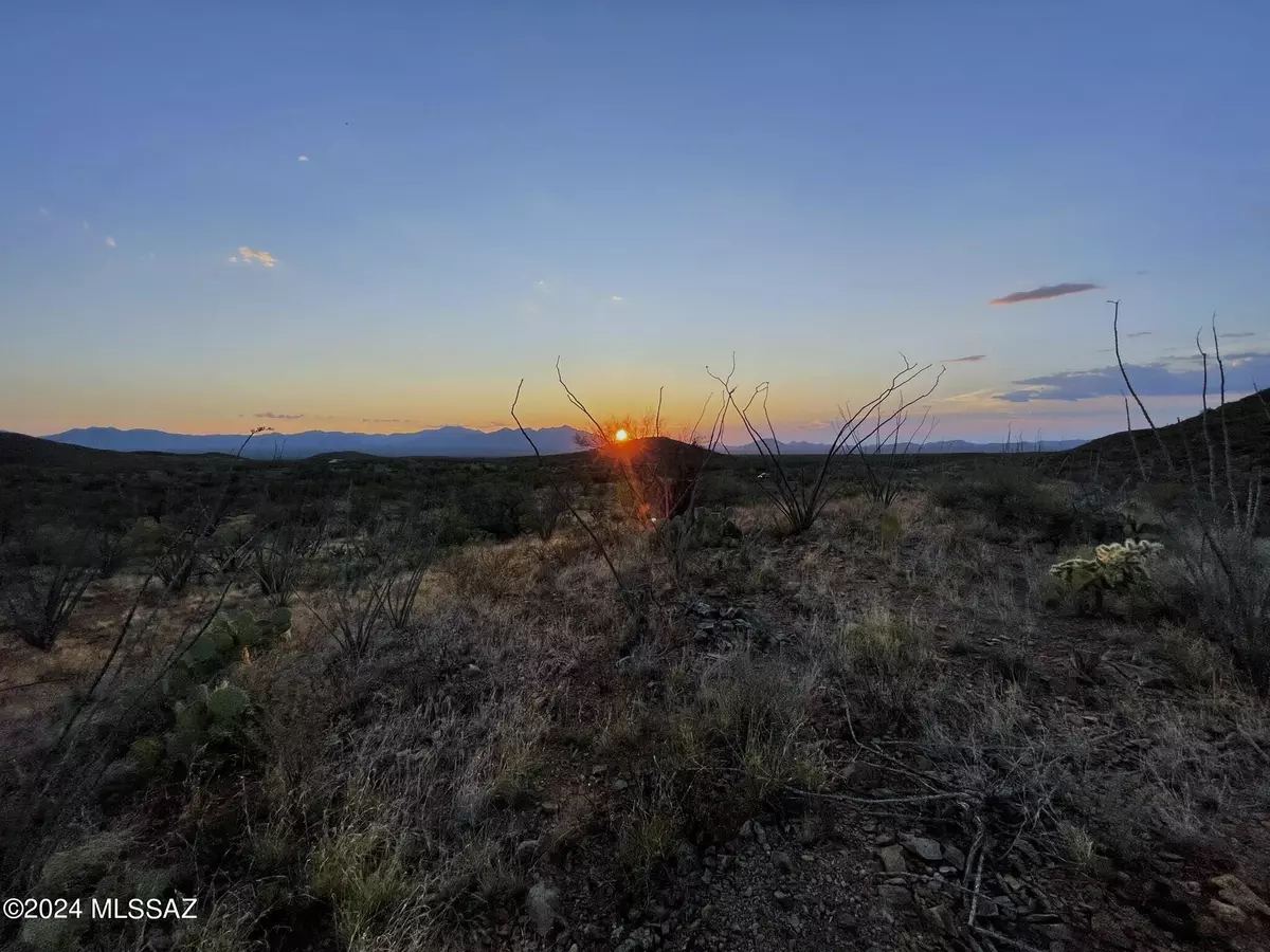 Tucson, AZ 85736,17430 S Sunbird Lane