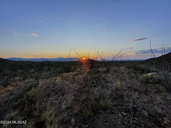 17430 S Sunbird Lane, Tucson, AZ 85736