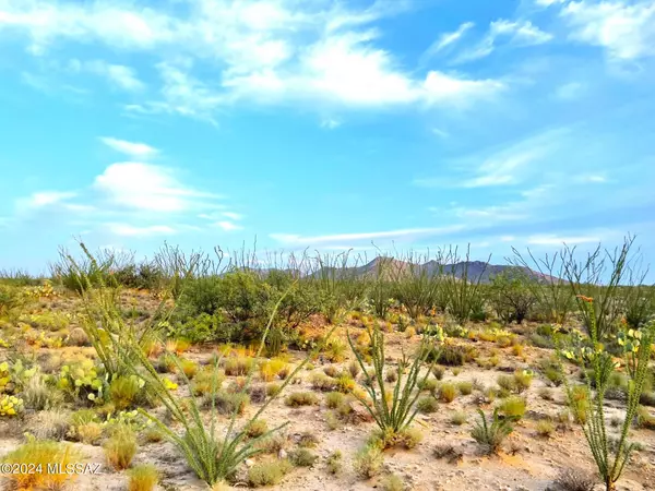 Tucson, AZ 85736,13900 Rundell Road