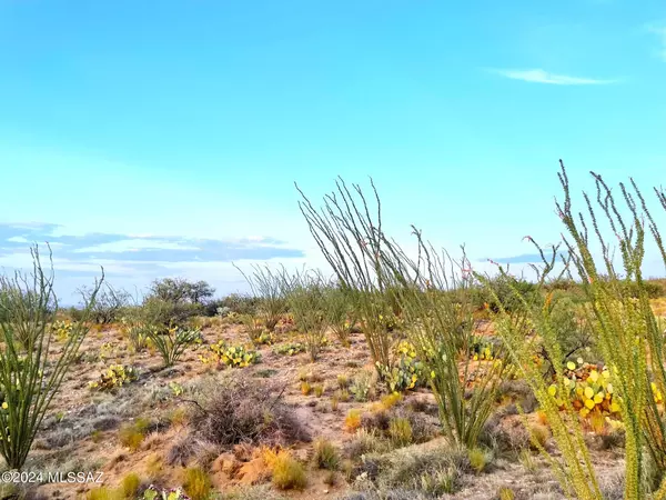 Tucson, AZ 85736,13900 Rundell Road