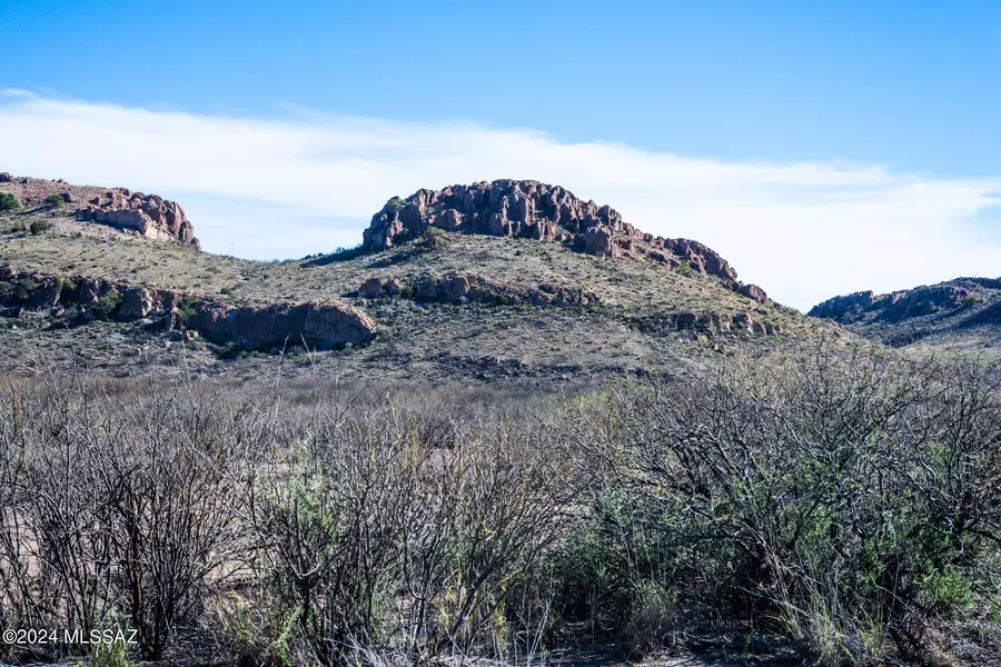 20 Acres E Mud Springs Lot 5 Road #5, Douglas, AZ 85607