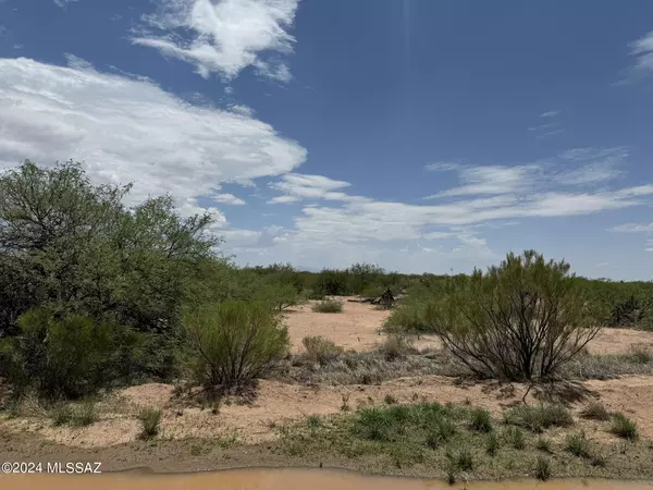 Mc Neal, AZ 85617,36.03 Acre High Lonesome Road #73