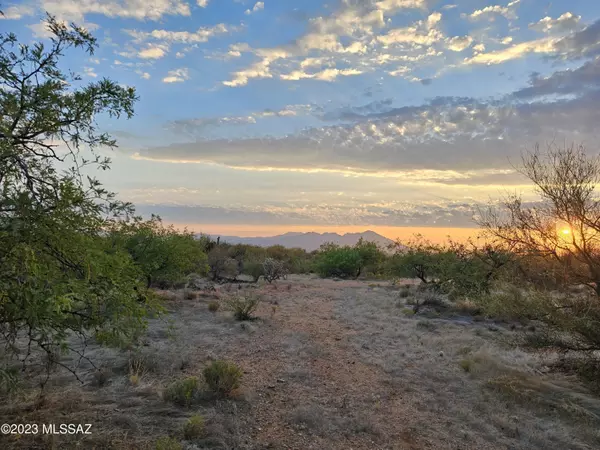 Tucson, AZ 85736,14040 Canelo Avenue #270