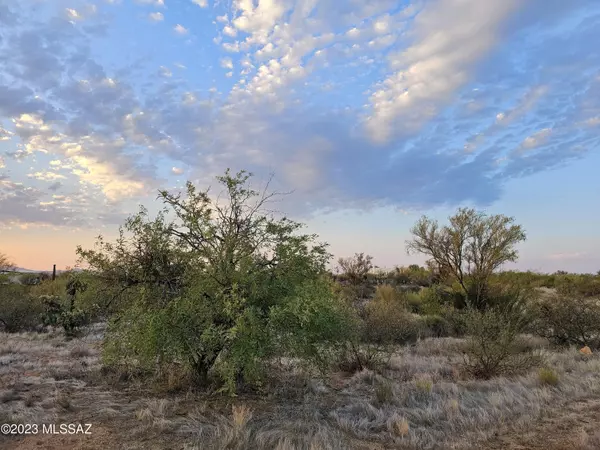 Tucson, AZ 85736,14040 Canelo Avenue #270