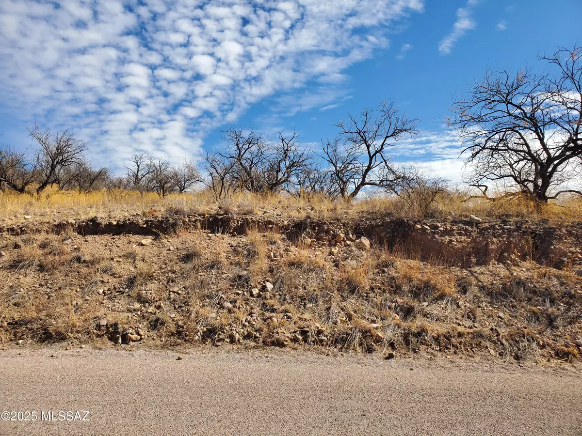 Rio Rico, AZ 85648,953 Calle Carmona  #5
